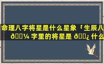 命理八字将星是什么星象「生辰八 🌼 字里的将星是 🌿 什么意思」